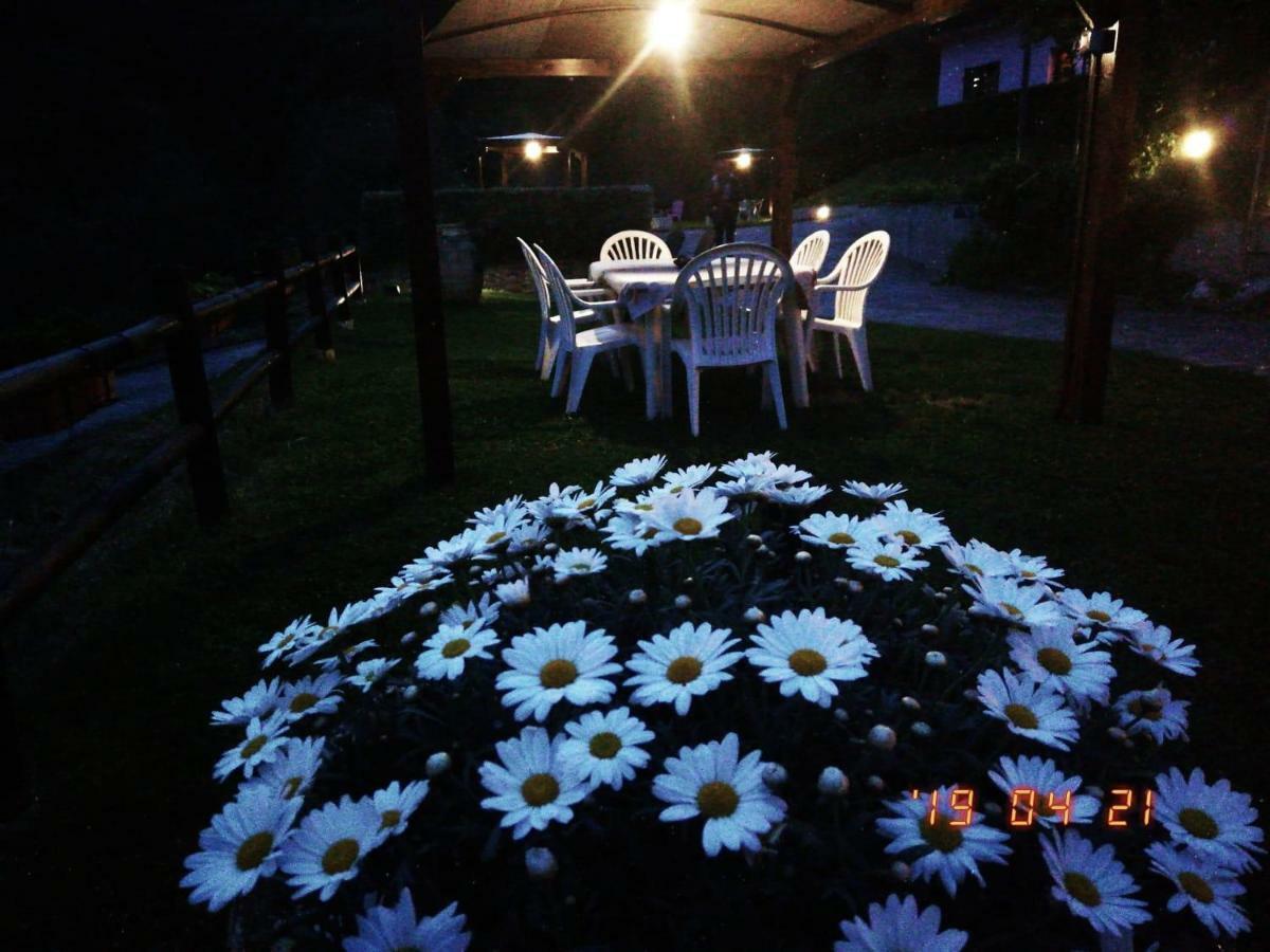 Villino Iso Bed & Breakfast La Spezia